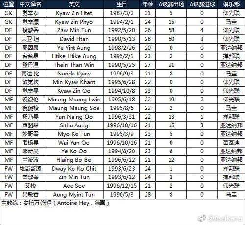 足球队人员平均年龄分析