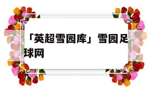 米尔沃尔足球流氓事件分析与预防