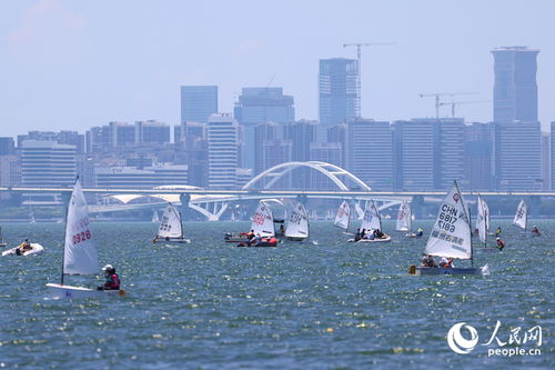 青春扬帆逐浪启航第十届梅沙教育全国青少年帆船联赛上海奉贤站开赛