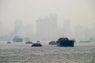 上海提醒市民提前囤水囤粮