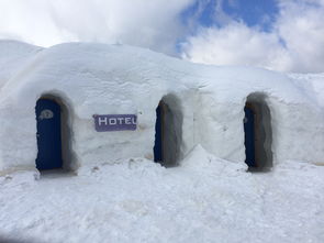 冬游直播|冬游直播，冰雪世界的魅力展现与旅游产业的数字化转型